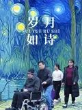 歲月如詩(全集)