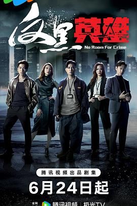 反黑英雄 普通話(huà)版(全集)