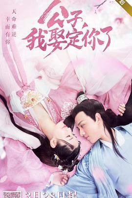 公子，我娶定你了(全集)