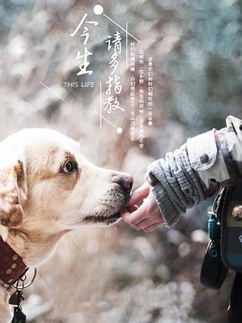今生，請多指教第三季(全集)