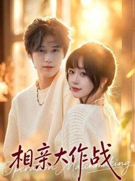 相親大作戰(zhàn)(全集)
